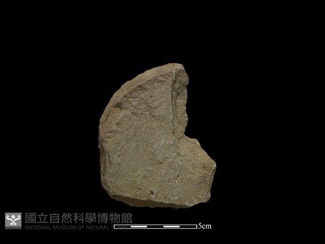 斧鋤形器藏品圖，第1張