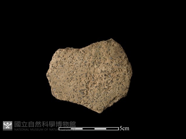 陶片藏品圖，第1張