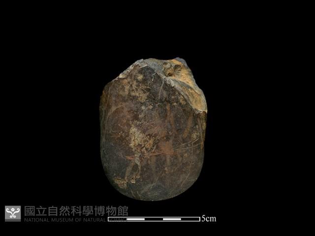 石鎚藏品圖，第1張