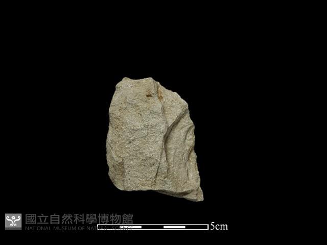 斧鋤形器藏品圖，第2張