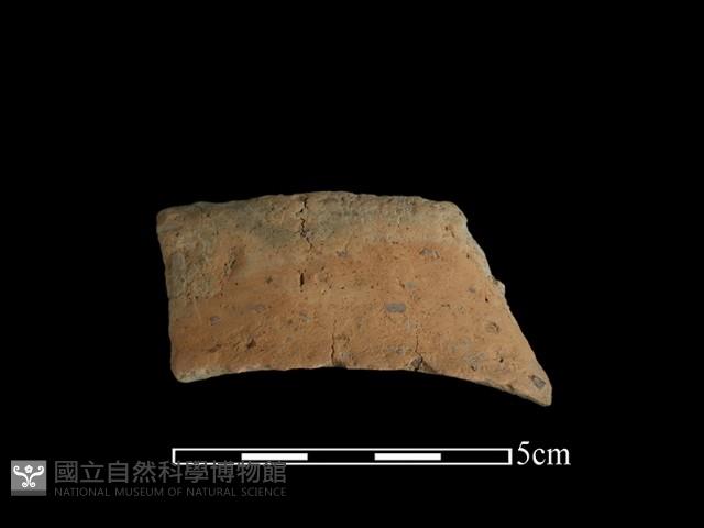 陶片藏品圖，第2張