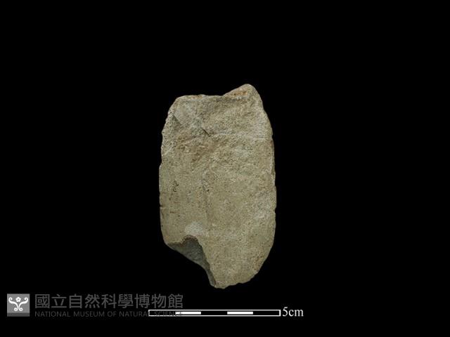 磨製斧鋤形器藏品圖，第1張