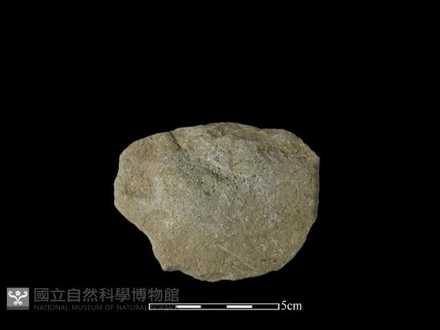 石片器藏品圖，第2張