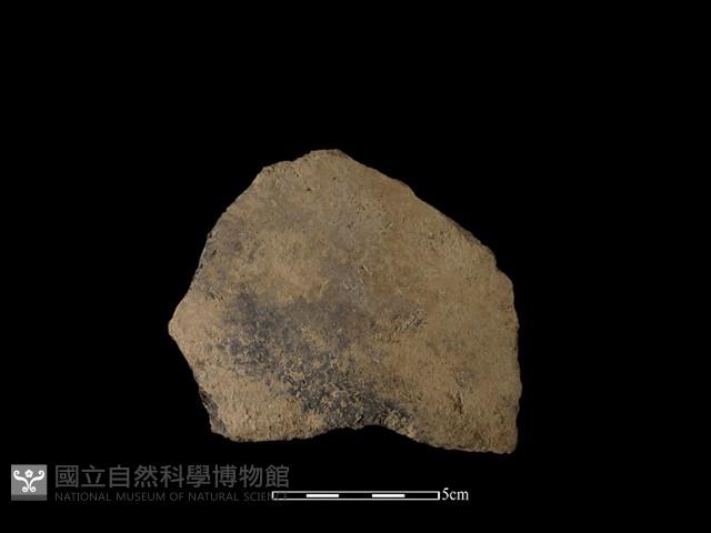 陶片藏品圖，第1張