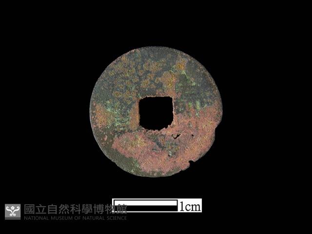 銅錢藏品圖，第2張