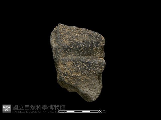 陶片藏品圖，第1張