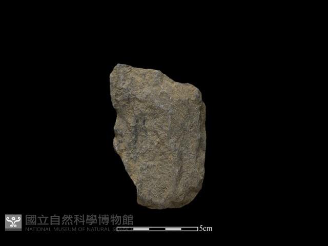 斧鋤形器藏品圖，第1張