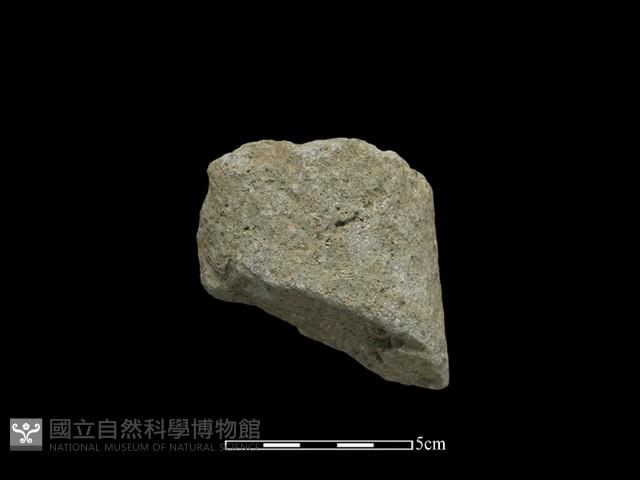 Accession Number:HKK-2014-043 Collection Image, Figure 2, Total 2 Figures