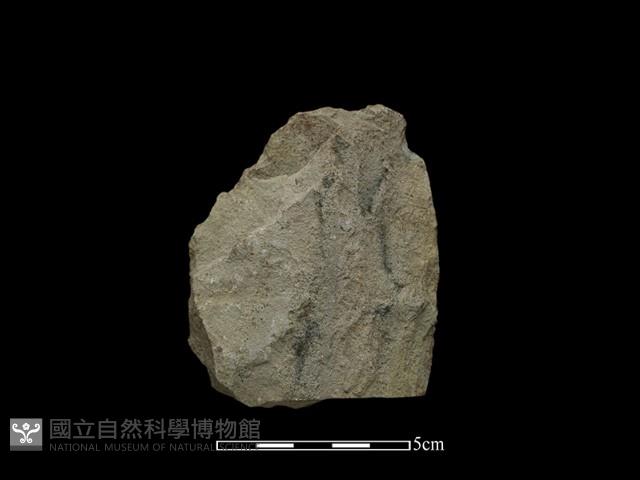 斧鋤形器藏品圖，第1張