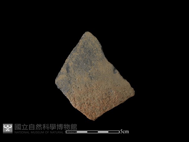 陶片藏品圖，第1張