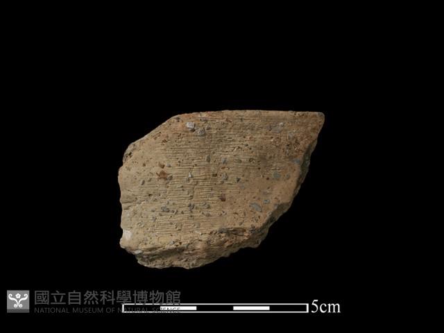 陶片藏品圖，第2張