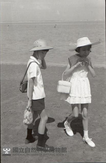 1950至2006年臺灣常民生活藏品圖，第1張