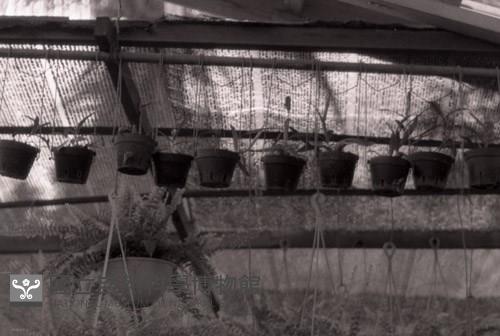 Accession Number:MP2007018005.0002 Collection Image