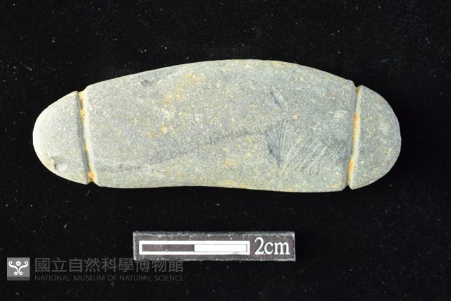 網墜藏品圖，第1張