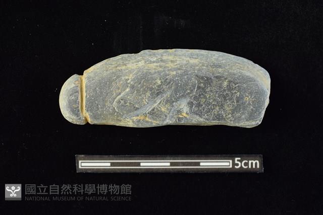 網墜藏品圖，第1張