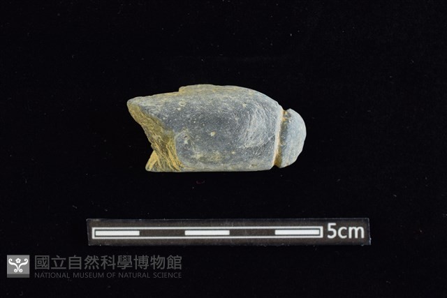 網墜藏品圖，第1張