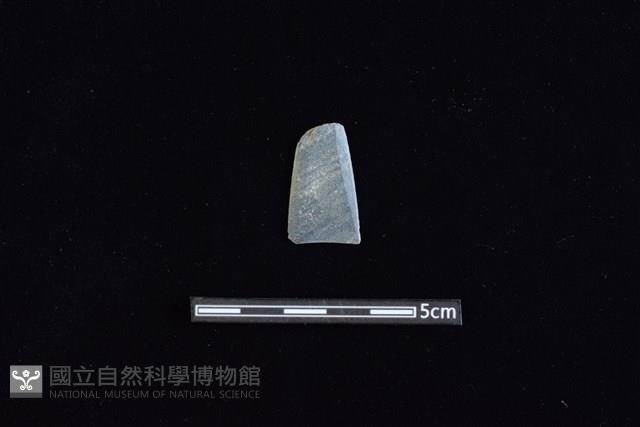 矛鏃形器藏品圖，第1張