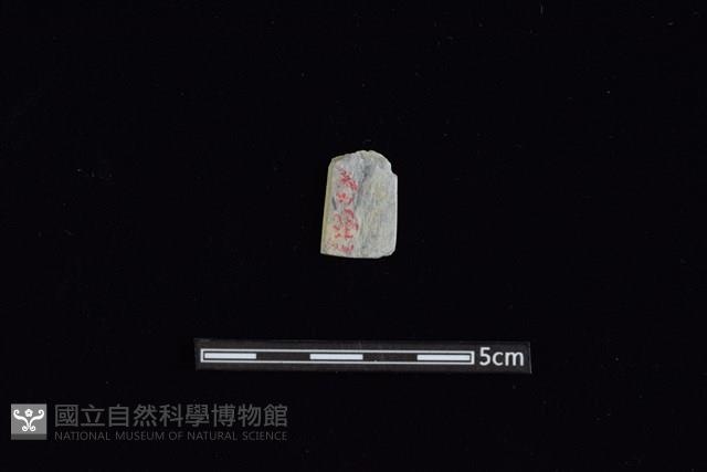 矛鏃形器藏品圖，第1張