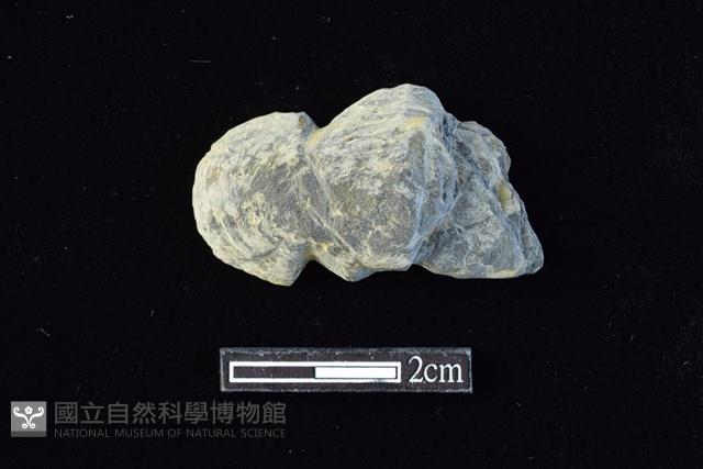 網墜藏品圖，第1張