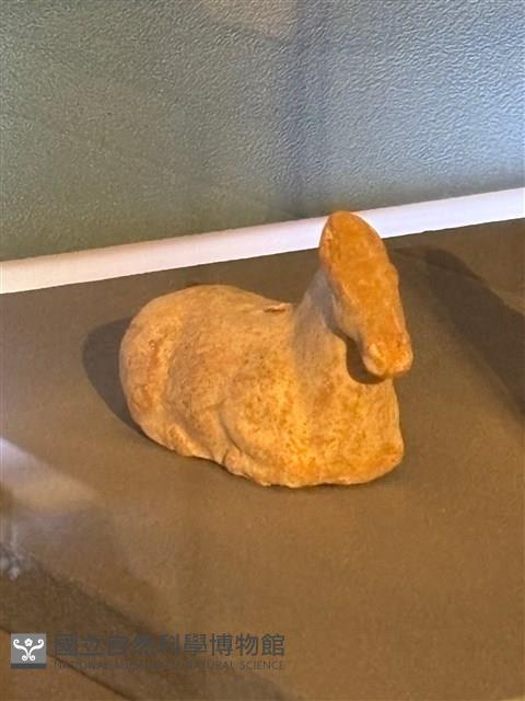 趴坐姿馬俑藏品圖，第1張