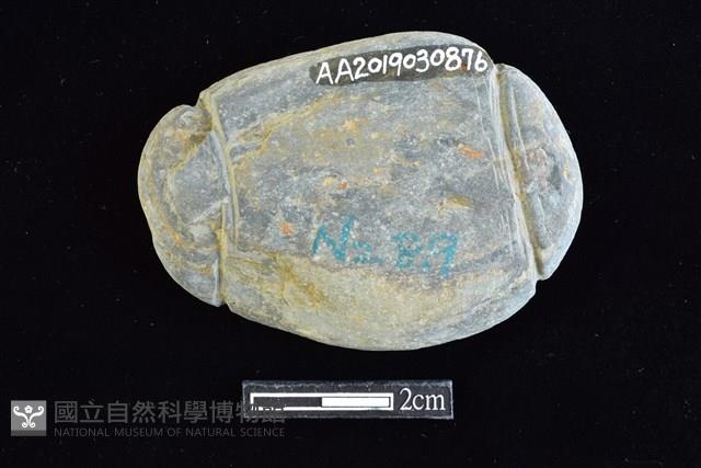 網墜藏品圖，第1張