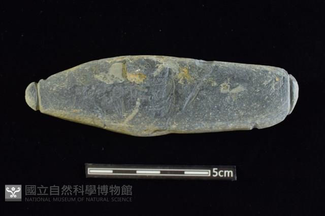 網墜藏品圖，第1張