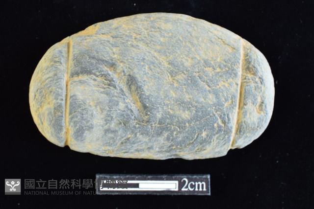 網墜藏品圖，第1張