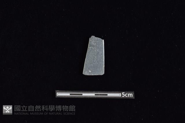 矛鏃形器藏品圖，第1張