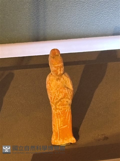 站立姿人俑藏品圖，第1張