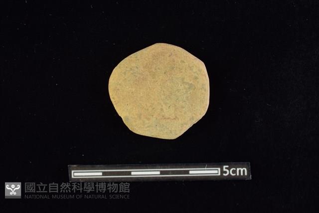 石圓片藏品圖，第1張