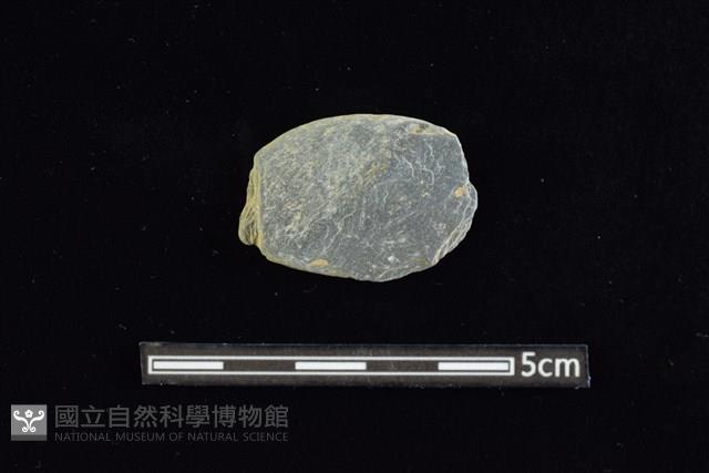 網墜藏品圖，第1張