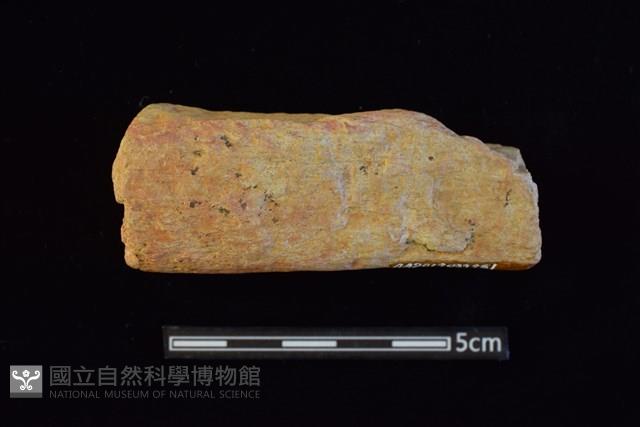 石材藏品圖，第1張