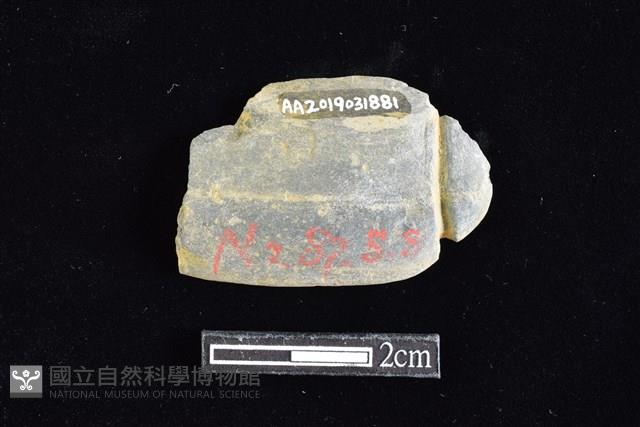 網墜藏品圖，第1張