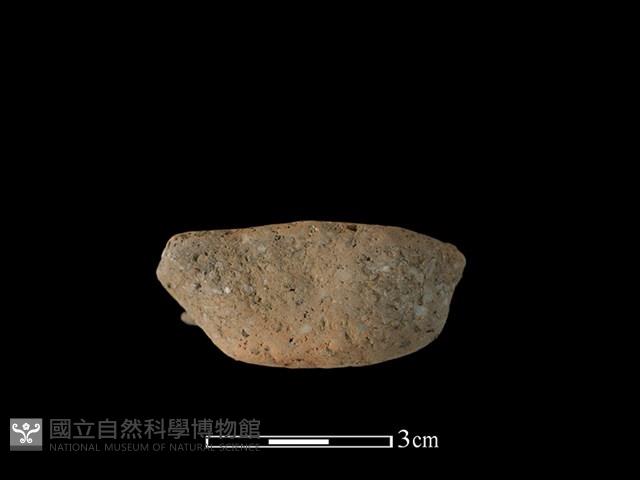 陶耳藏品圖，第1張