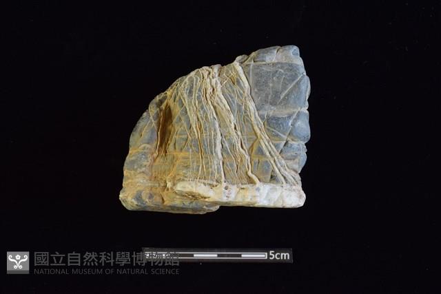 石材藏品圖，第1張