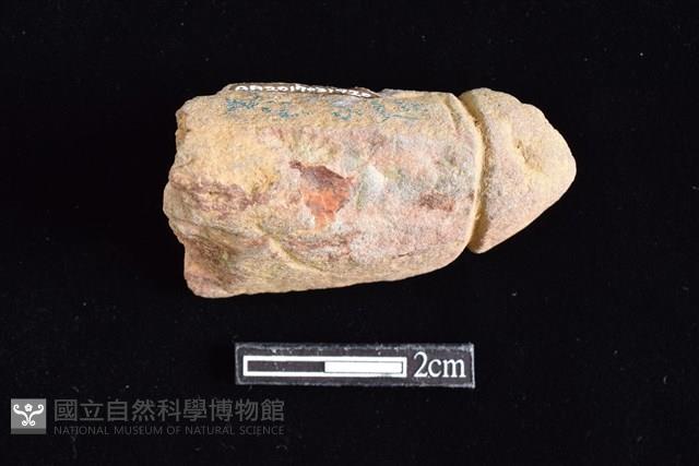 網墜藏品圖，第1張