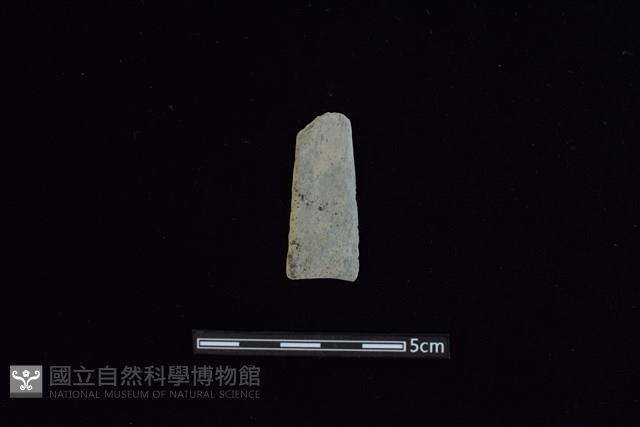 矛鏃形器藏品圖，第1張