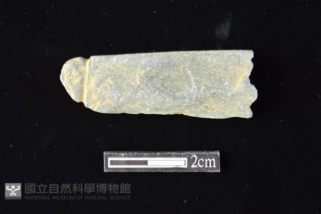 網墜藏品圖，第1張