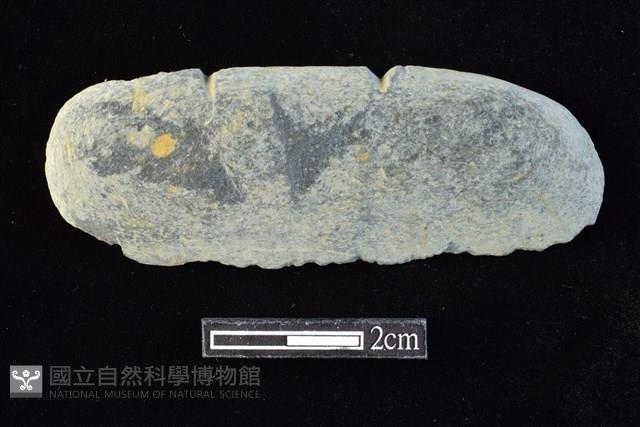 網墜藏品圖，第1張