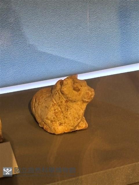 趴坐姿牛俑藏品圖，第1張