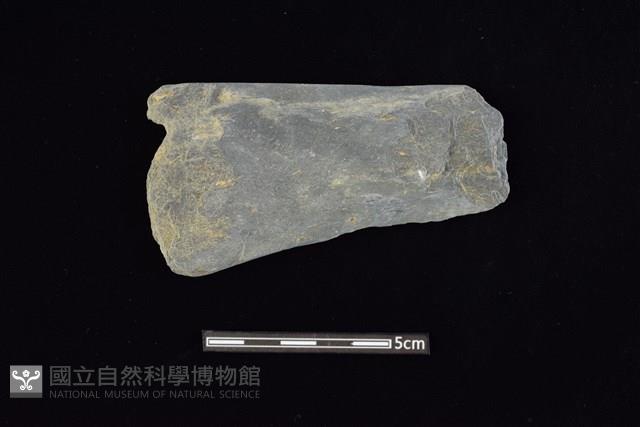 Accession Number:AA2019032970 Collection Image, Figure 1, Total 2 Figures