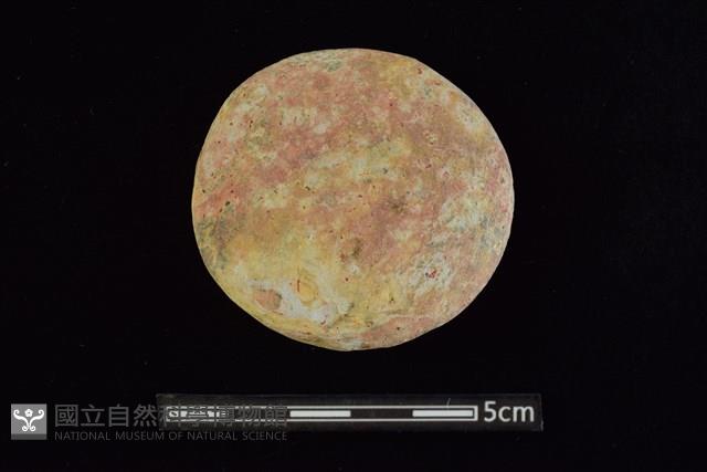 石圓片藏品圖，第1張