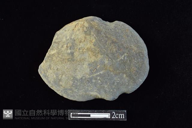 網墜藏品圖，第1張