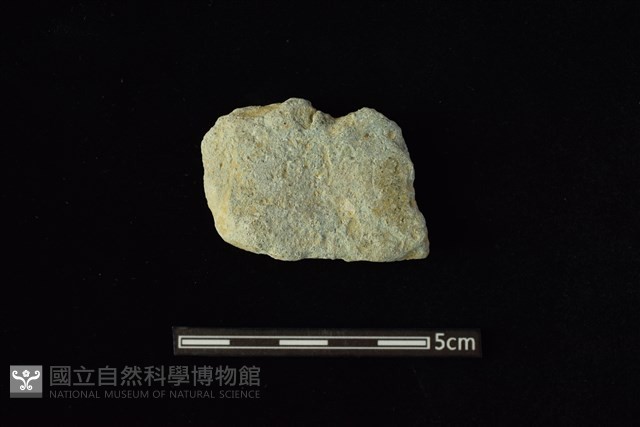 石材藏品圖，第1張