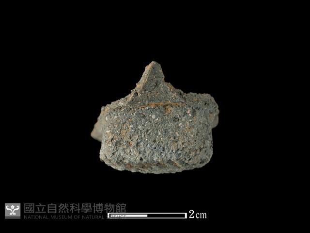 陶耳藏品圖，第1張