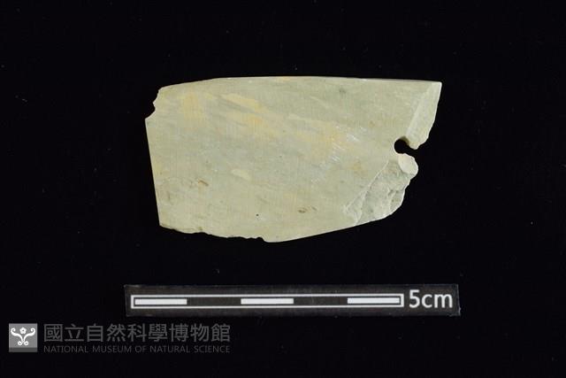 矛鏃形器藏品圖，第1張