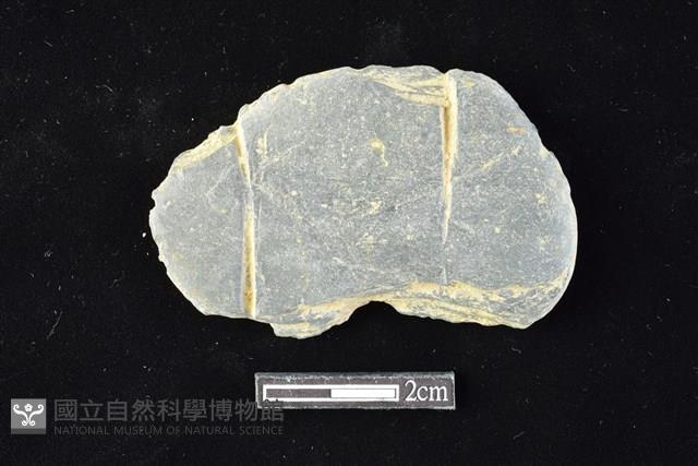 網墜藏品圖，第1張