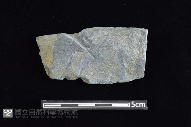 石材藏品圖，第1張