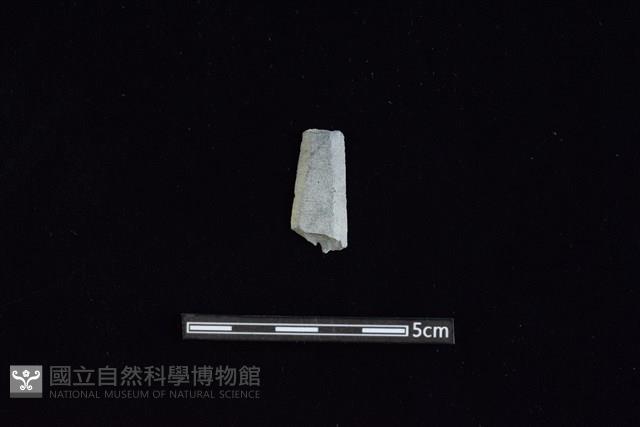 矛鏃形器藏品圖，第1張