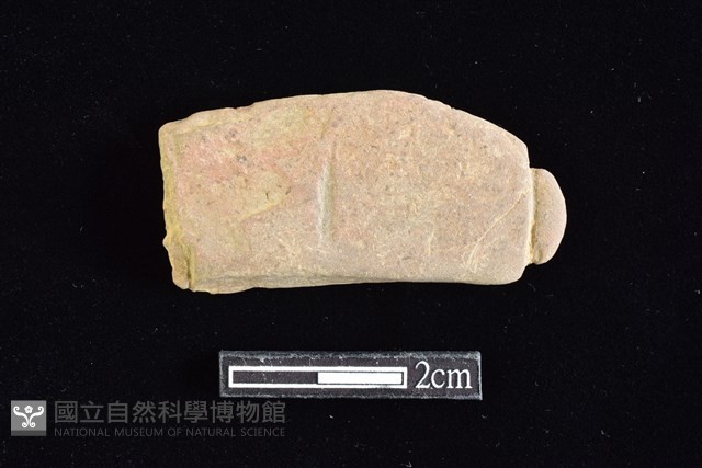 網墜藏品圖，第1張